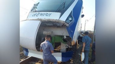 Mumbai-Gandhinagar Vande Bharat Train Delayed by 15 Minutes Due to Cattle Runover Incident in Atul