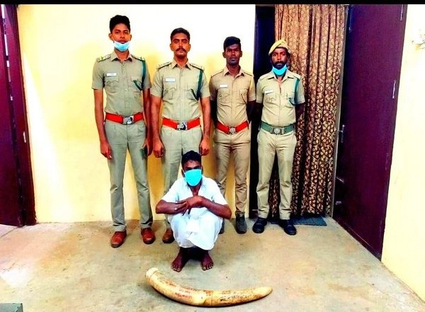 India News | Vishakhapatnam: Man Arrested for Raping Minor