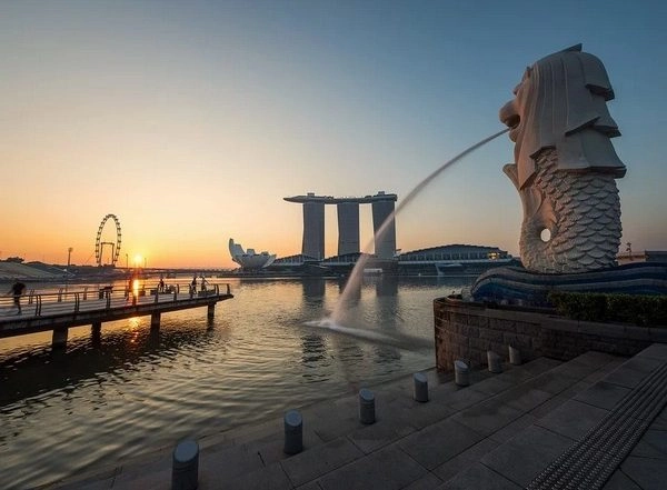 World News | Why Indian Startups Are Establishing a Base in Singapore