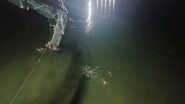 World News | Saudi Arabia Expressed Grief over Deaths in Morbi Bridge Tragedy