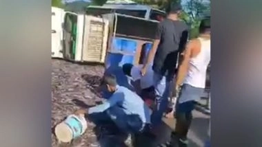 India News | Locals Loot Fish After Truck Overturns in Assam's Bongaigaon