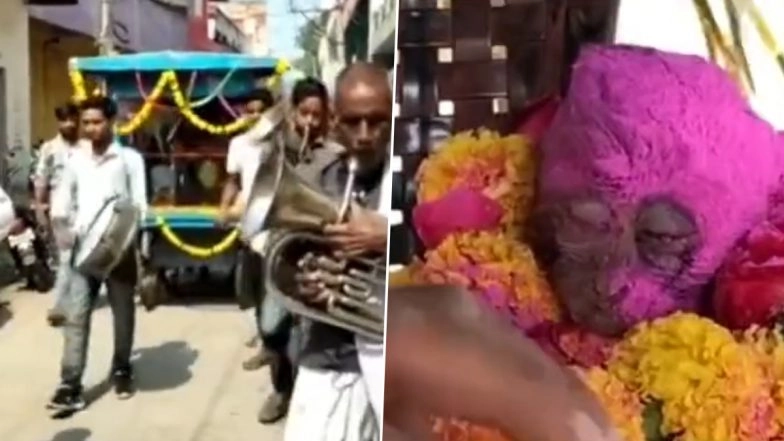Video: Monkey Dies of Electrocution in Rajasthan’s Alwar, Villagers Arrange Funeral and Cremate Him As Per Hindu Rituals