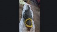 &lsquo;Vegetarian&rsquo; Crocodile Babiya Dies in Sri Anantha Padmanabha Swamy Temple&rsquo;s Pond, See Pics and Video