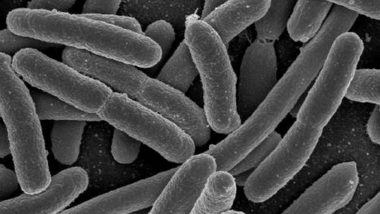 Scientists Find Out Harmful Oral Bacteria Causing Other Diseases