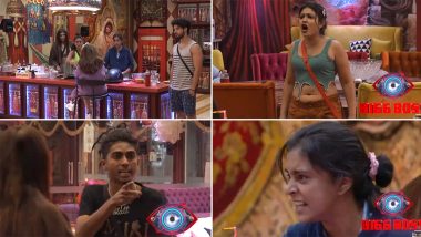 Bigg Boss 16: Sreejita De Calls Gori Nagori 'Standardless' in New Promo of the Reality Show (Watch Video)