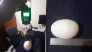 'Biggest Egg in India! Hen Lays Egg Weighing Over 200 Grams in Kolhapur, Pictures Go Viral