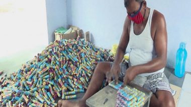 Firecracker Ban in Tamil Nadu: Barium Nitrate, Cracker Ban Hits Sivakasi Traders; 40% Dip in Production