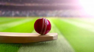 Mehar Chhayakar, UAE Domestic Cricketer, Banned for 14 Years for Match Fixing