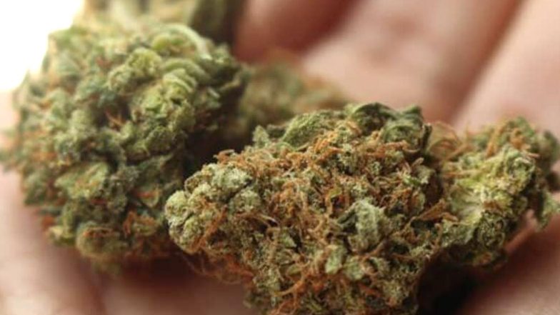 Tamil Nadu: Police Begins ‘Ganja Free Villages’ Initiative in Coimbatore To Curb Drug Menace