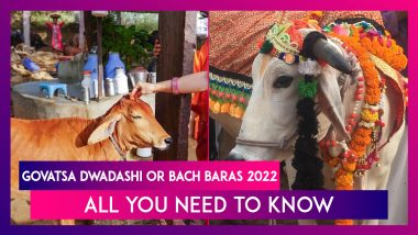 Govatsa Dwadashi Or Bach Baras 2022: Date, Nandini Vrat Traditions, Shubh Muhurat, Puja Vidhi Of Festival Devoted To Worshipping Cows And Calves