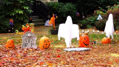 Last-Minute Halloween 2022 Decoration Ideas: From Fake Spider Webs to Cat String Lights, Unique Ideas To Decorate Your House for the Spooky Festival