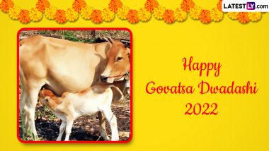 Happy Govatsa Dwadashi 2022 Messages, Images & HD Wallpapers: Celebrate Vasu Baras by Sending Vagh Baras Wishes, WhatsApp Stickers, Telegram Pics, Quotes Festive Greetings & SMS