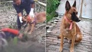 Video: UP Police Dog Johny Plays &lsquo;Claw-Some&rsquo; Role in Solving Murder Mystery Within 48 Hours in Kasganj, Helps Cops Find Killer and Looted Tractor