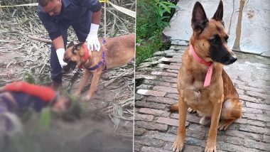 Video: UP Police Dog Johny Plays ‘Claw-Some’ Role in Solving Murder Mystery Within 48 Hours in Kasganj, Helps Cops Find Killer and Looted Tractor