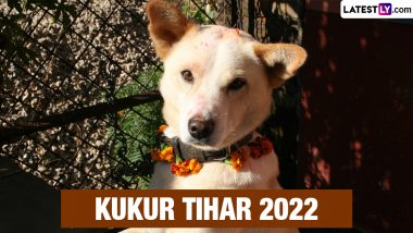 Kukur Tihar 2022 Date & Significance During Diwali Week: Everything To Know About the Special Day Dedicated to Worshipping of Dogs in Nepal