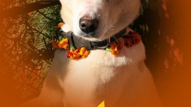 Happy Kukur Tihar 2022: Celebrate Nepali Festival of Dogs by Sending Messages & Quotes