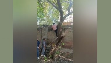 Miranda House Diwali Fest Chaos: Delhi Police Visit College to Check CCTV Footages After Video of Men Scaling Boundary Wall Goes Viral