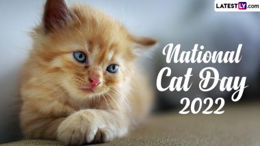 National Cat Day 2022 Images & Cute Cat HD Wallpapers for Free Download Online and Observe the Awareness Day Dedicated to the Felines and Kitties