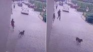 Dog Attack Continues in Noida: Stray Dog Attacks Girl at Golden Palms Society, Security Guards Saves Her (Watch Video)