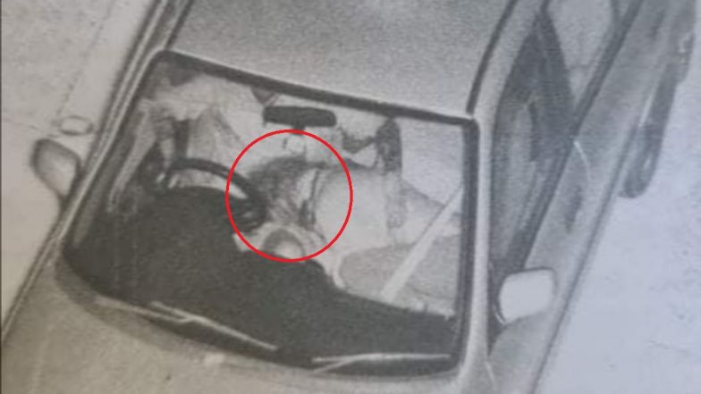 Oral Sex in Car Is OK, but Not Wearing Seatbelt Attracts FINE! Randy Couple in Australia Caught on Camera Having Sex in Moving Car