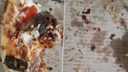 Domino's Pizza Orders Probe After Mumbaikar Shares Photos of Pizza with Glass Shards 'Topping'