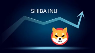 Cryptocurrency: Shiba Inu, Dogeliens and Zilliqa Are the Best Tokens to Invest in for Beginners and Experts