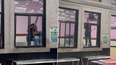 Video: ‘Mentally Unstable’ Woman Goes on Rampage at Solapur Railway Station, Vandalises Glass Windows