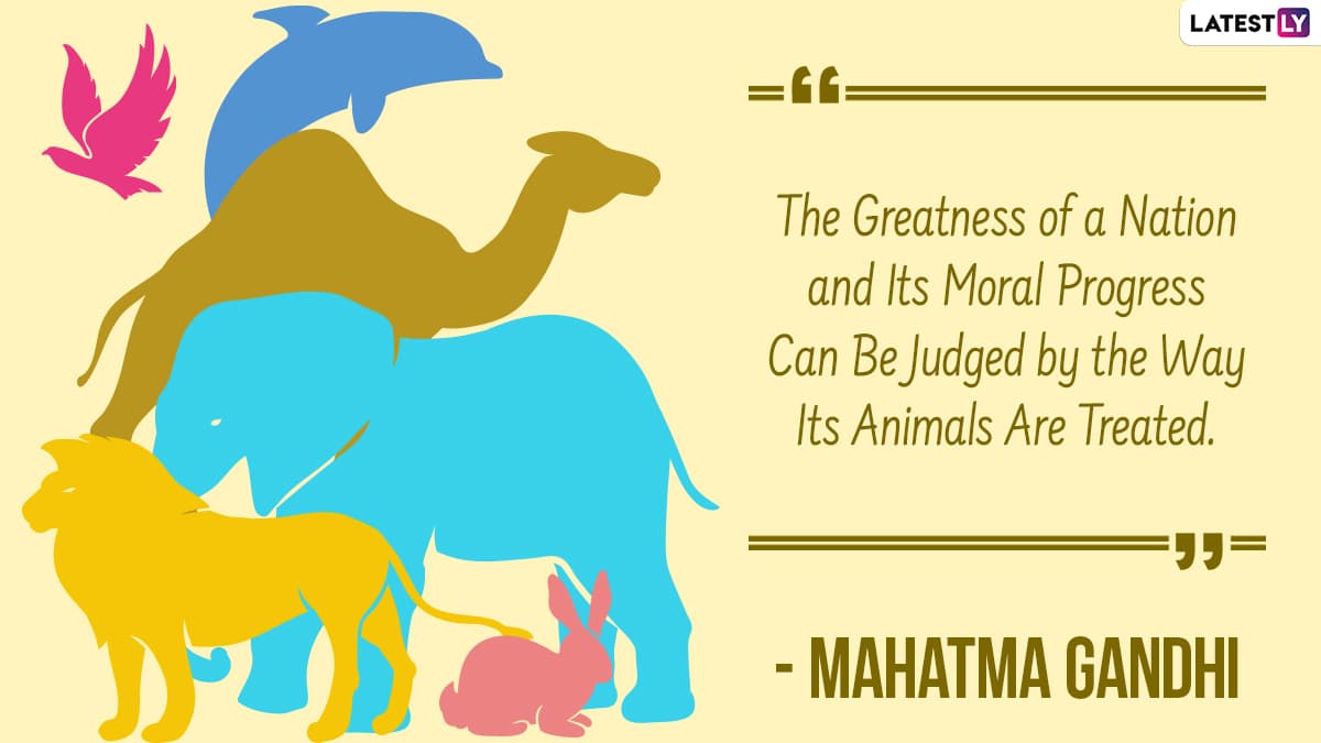 World Animal Day 2022 Quotes: Messages, Slogans, HD Images, Thoughts and  Sayings To Celebrate the International Occasion | 🙏🏻 LatestLY