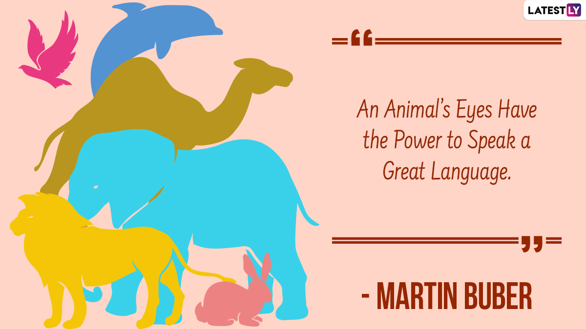 World Animal Day 2022 Quotes: Messages, Slogans, HD Images, Thoughts and  Sayings To Celebrate the International Occasion | 🙏🏻 LatestLY
