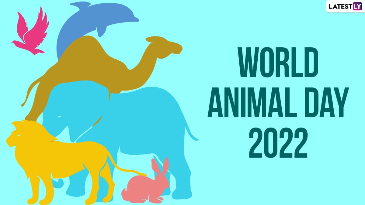 World Animal Day 2022 Quotes: Messages, Slogans, HD Images, Thoughts and Sayings To Celebrate the International Occasion | 🙏🏻 LatestLY World Animal Day 2022 Quotes: Messages, Slogans, HD Images, Thoughts and Sayings To Celebrate the International Occasion | 🙏🏻 LatestLY