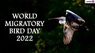 World Migratory Bird Day 2022 Date and Theme: Here's Everything To Know About the Significance of the UN Observance for Conservation of Migratory Birds