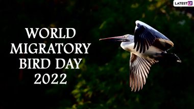 World Migratory Bird Day 2022 Date and Theme: Here's Everything To Know About the Significance of the UN Observance for Conservation of Migratory Birds