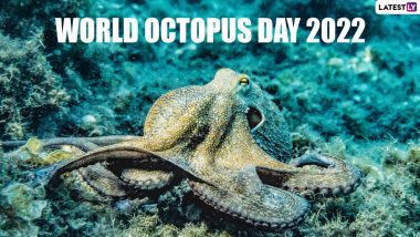 World Octopus Day 2022 Date and Significance: Here’s All You Need To Know About Its History and the Event Celebrating the Distinctive Sea Creature