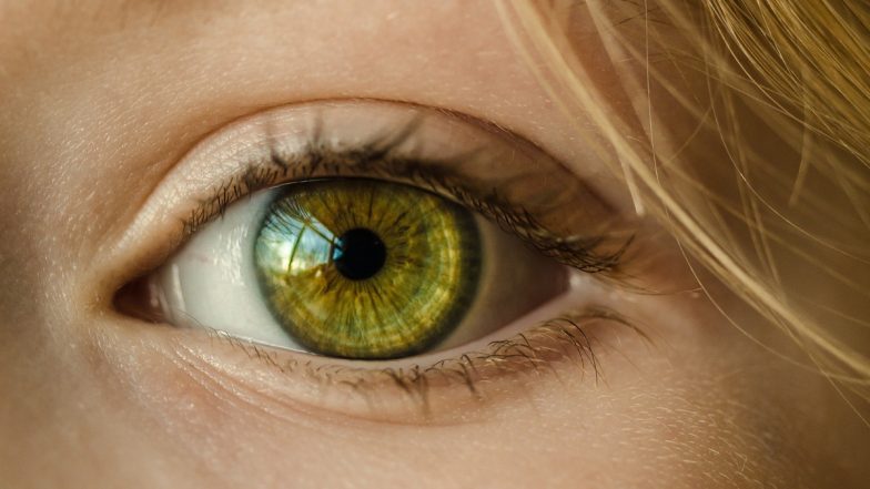 Noida: ICARE Eye Hospital Saved 39 Retinopathy of Prematurity Affected Premature Born Babies Saved From Going Blind