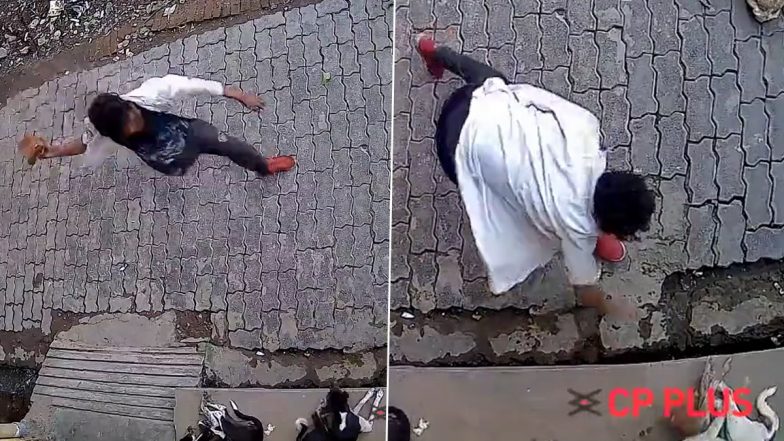 UP Shocker: Annoyed by Constant Barking, Man Kills Dog With Brick in Kanpur; Arrested (Disturbing Video)