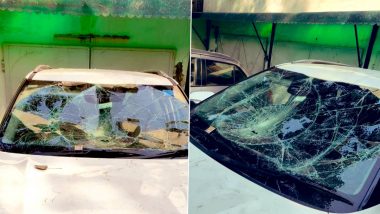 Delhi: Mentally Unstable Man Detained for Vandalising DCW Chief Swati Maliwal’s Cars