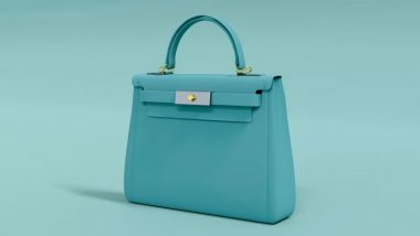 The Ten Most Expensive Handbags in The World - LUXUO-demhanvico.com.vn