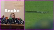 Snake Stops Play! Twitterati Have a Field Day, Share Funny Memes and Jokes As Reptile Halts IND vs SA 2nd T20I 2022 in Guwahati