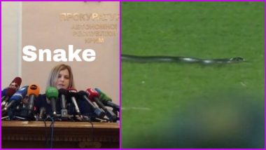 Snake Stops Play! Twitterati Have a Field Day, Share Funny Memes and Jokes As Reptile Halts IND vs SA 2nd T20I 2022 in Guwahati