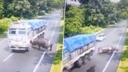 Video: Vehicle Mauls Rhino on Road in Assam&rsquo;s Haldibari; Driver Fined, CM Himanta Biswa Sarma Condemns Incident