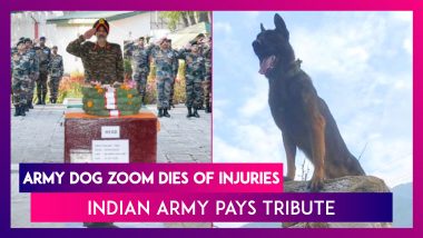 Indian Army Dog ‘Zoom’ Dies Of Injuries; Officers Pay Tribute To The Canine Who Helped Kill 2 Terrorists