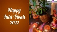 Happy Tulsi Vivah 2022 Wishes & Messages: Observe the Holy Marriage Ceremony of Maa Tulsi and Lord Vishnu by Sending WhatsApp Greetings, Quotes, HD Images and Wallpapers to Loved Ones