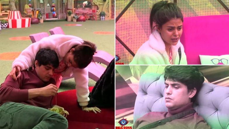 Bigg Boss 16: Priyanka Chahar Choudhary – Ankit Gupta Have a Verbal Spat; the Actress Breaks Down! (Watch Video)