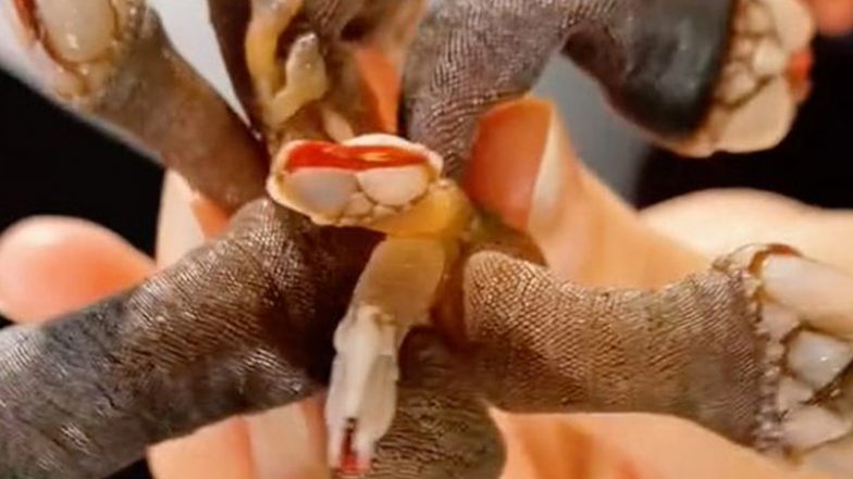 Demogorgon From Stranger Things Spotted? Netizens Terrified by Video of 'Alien' Sea Creature With Extruding Tentacles That Resembles the Beast From Netflix Series