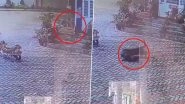 Leopard Pounces Upon Dog and Drags It Away in Uttarakhand's Police Station; Spine-Chilling Video Goes Viral&nbsp;