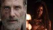 The Walking Dead Series Finale: Explained! Rick Grimes, Michonne's Return and How It Can Lead Into Andrew Lincoln and Danai Gurira's Sequel Show! (SPOILER ALERT)