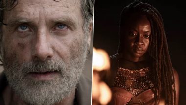 The Walking Dead Series Finale: Explained! Rick Grimes, Michonne's Return and How It Can Lead Into Andrew Lincoln and Danai Gurira's Sequel Show! (SPOILER ALERT)