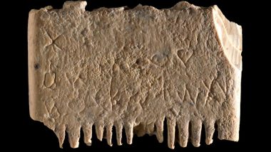 Oldest Known Sentence in History Written in Earliest Alphabet Discovered in Archaeological Dig; Inscription Carved Into Ivory Comb Warns About Head Lice (See Pic)