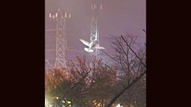 US Plane Crash Video: Small Aircraft Crashes Into Power Lines in Maryland, Leaves Pilot and Passenger Dangling in Air