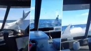 Giant Mako Shark&nbsp;Jumps Out of Ocean and Lands on Fishing Boat in New Zealand; Viral Video Makes Waves Online&nbsp;